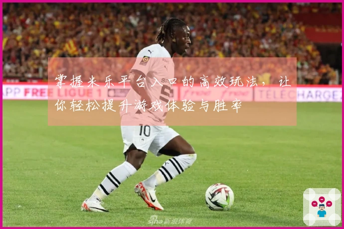 掌握米乐平台入口的高效玩法，让你轻松提升游戏体验与胜率